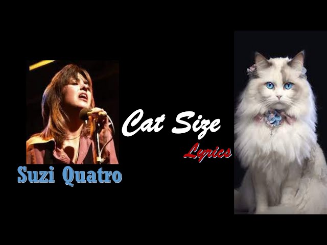 Suzi Quatro_ Cat Size_1974 (Lyrics) class=