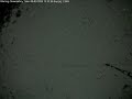 Starling Observatory All Sky Camera 2025 02 08To2025 02 09