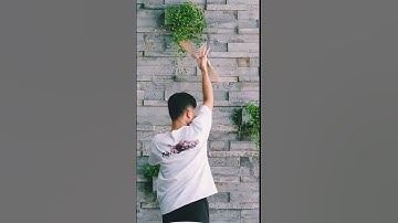 Chơi thử côn gỗ 8 cạnh đầu xoay (Cân nặng 690 gram) #kanclub