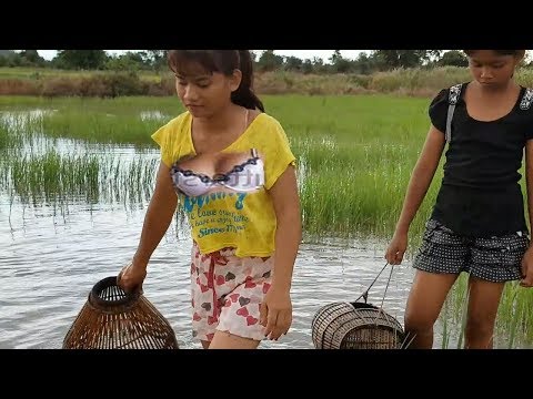 Amazing Fishing At Battambang - Beautiful Girl Fishing - How To Catch Fish By Hand SH (Part 20)