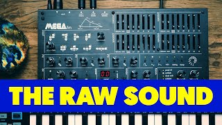 MEGA FM: The RAW sound