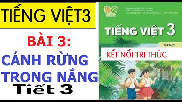 BÀI 3: CÁNH RỪNG TRONG NẮNG, TIẾT 3 |MÔN TIẾNG VIỆT 3| SÁCH KẾT NỐI TRI THỨC VỚI CUỘC SỐNG
