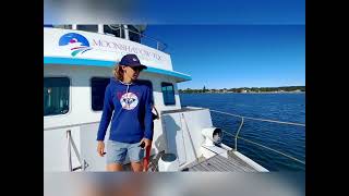 Video Output A949613D 504A 47Cb Aac2 Ff24Dfe9B038