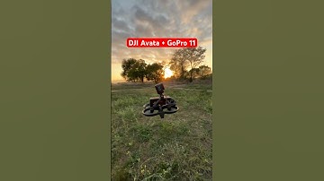 DJI Avata + GoPro 11 test flight #djiavata #fpv