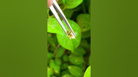 Tuocmalin vàng cắt giác khối đẹp lạ mắt #tetnaylanhat #ruby #love #diamond