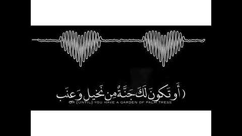 صوت من  السماء  القارئ  رائد  مفكر   صوت ملائكي يريح قلبك