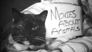 Watch Movies About Animals Book Of Matches video