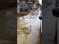 МАХАЧКАЛА закон есть, выплат НЕТ
