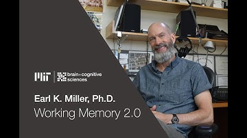 Seminar: Earl Miller, "Working Memory 2.0"