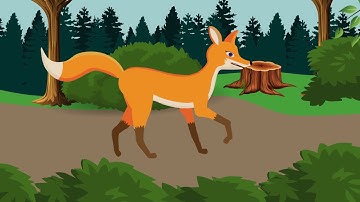 Animal walk cycle in After Effects - Animation