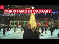 Winter in Canada: Christmas in Calgary