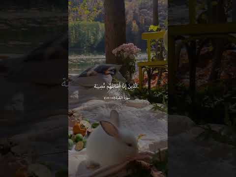 وبشر الصابرين الذين اذا اصابتهم مصيبة قالوا انا اله وانا اليه راجعون ماهر المعيقلي