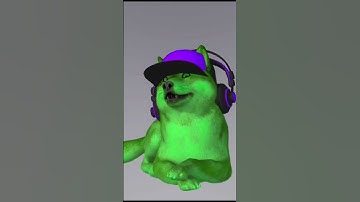 Meet Wolfie: My First Video & Channel Intro!