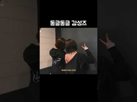 다이브도 헷갈리는 감성즈 [IVE]