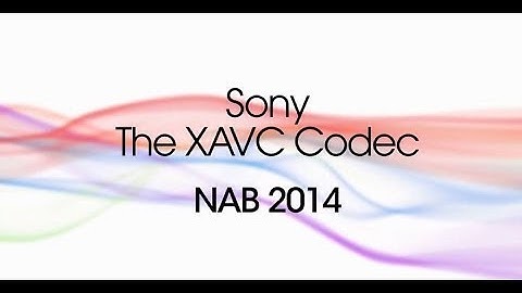 The XAVC Codec