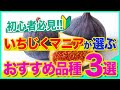 【イチジク 】初心者の方へ！いちじくマニアが選ぶおすすめ品種３選。（イチジク の育て方）
