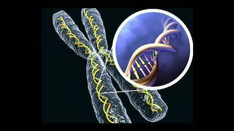 Genetic Birth Defects (Baby Health Guru)