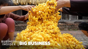 How Mountains Of Worm Cocoons Are Turned Into Expensive Silk In Vietnam | Big Business