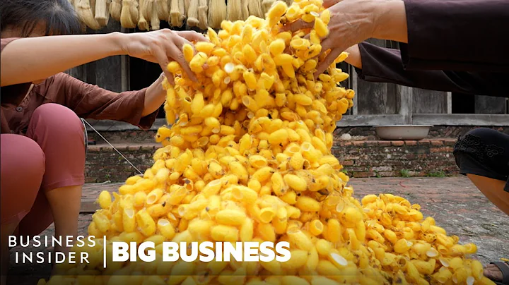 How Mountains Of Worm Cocoons Are Turned Into Expensive Silk In Vietnam | Big Business - DayDayNews