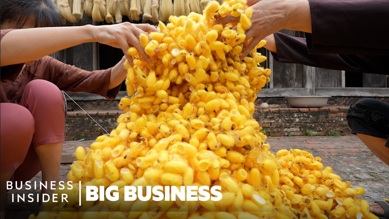 ⁣How Mountains Of Worm Cocoons Are Turned Into Expensive Silk In Vietnam | Big Business