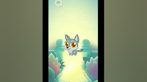 Merge Zoo tour part 4