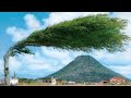दुनिया के सबसे अजीब पेड़ जो आपने कभी नहीं देखे होंगे || Most Amazing Trees In The World