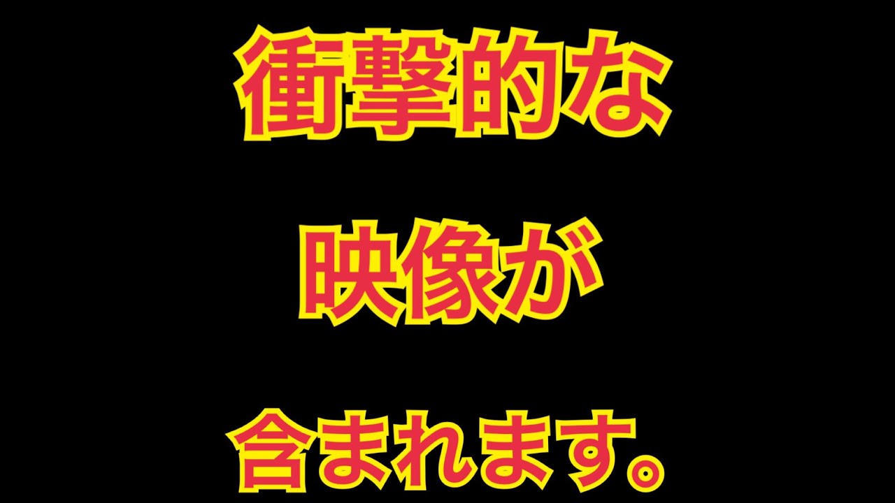 野田洋次郎 gasshow 歌詞