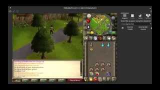 OSRS CLUE IF YOU LOOK CLOSELY ENOUGH RANGERS GUILD (HARD)