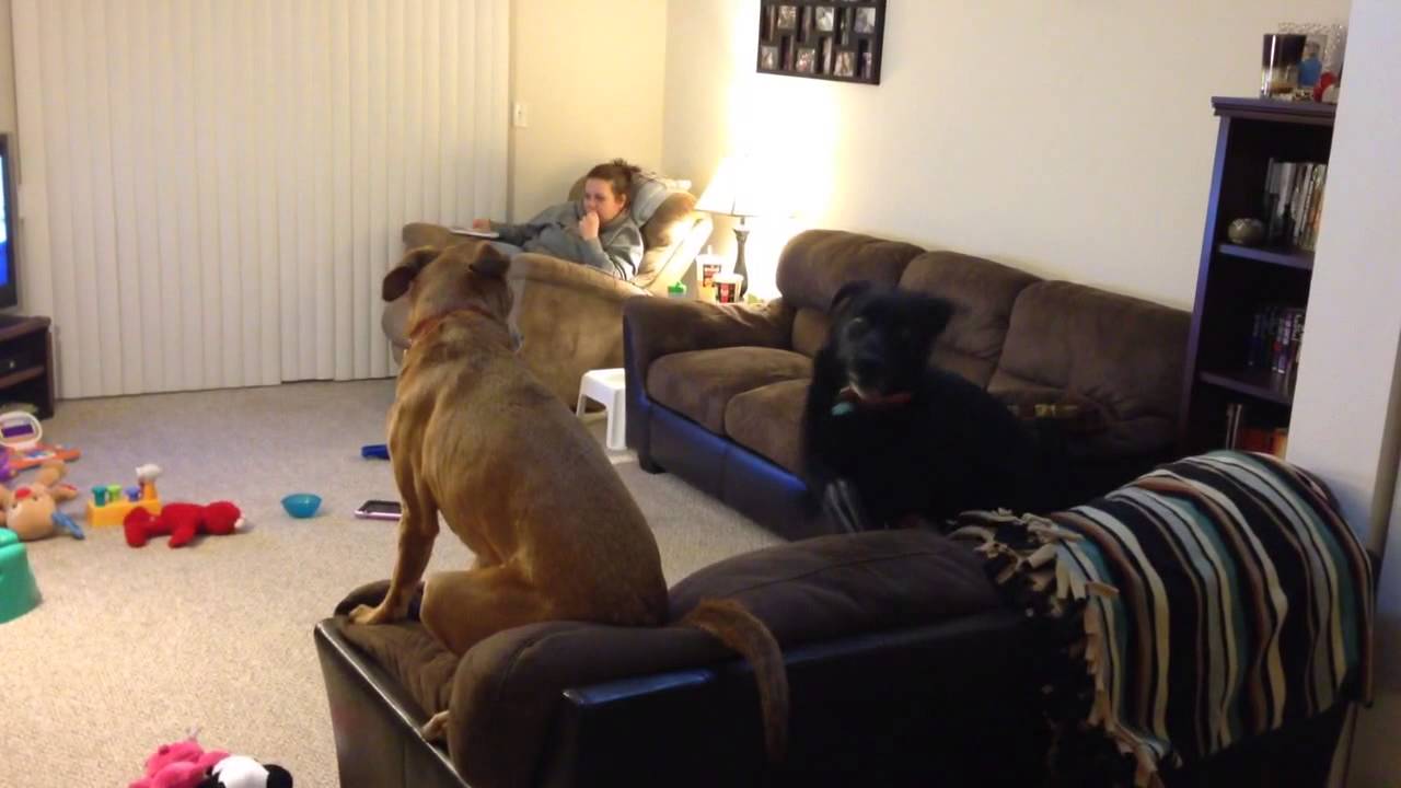 More flashlight fun - YouTube