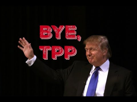 trump amazonia MORE Jobs Being Outsourced Under Trump Than Obama