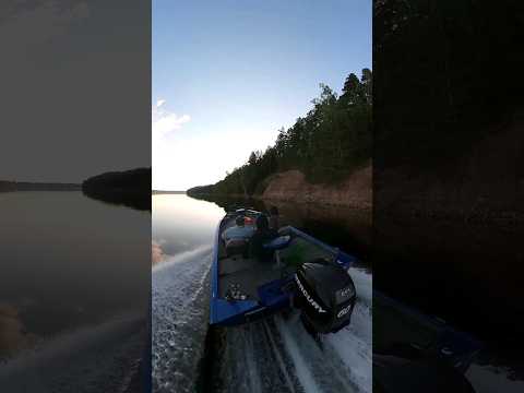 Видео: Как же круто лететь по водному зеркалу на вечерний клёв. #рыбалка #лодка #клёв
