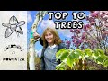 Top 10 Garden Trees - best trees for small gardens