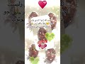 إنها الدنيى وليست الجنة رفقابالقوارير المغرب لايك اشتراك اكادير إنها الدنيى وليست الجنة رفقابالقوارير المغرب لايك اشتراك اكادير