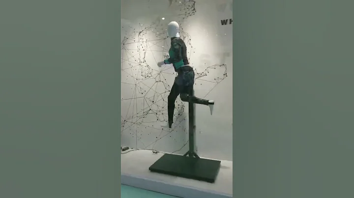 Modern mannequin, dynamic mannequin