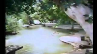 Ferdi̇ Tayfur-Ümit Dolu Günlerim