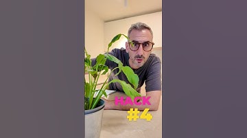 Easy Canva Website Hacks? Yes, please.