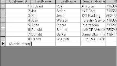 Microsoft Access 101 (for Access 2003) Lesson 09. Entering Data