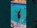 Friends Pool Party Drone Shot 🌊🔥 #pool #droneview #summervibes #viralvideo #travel