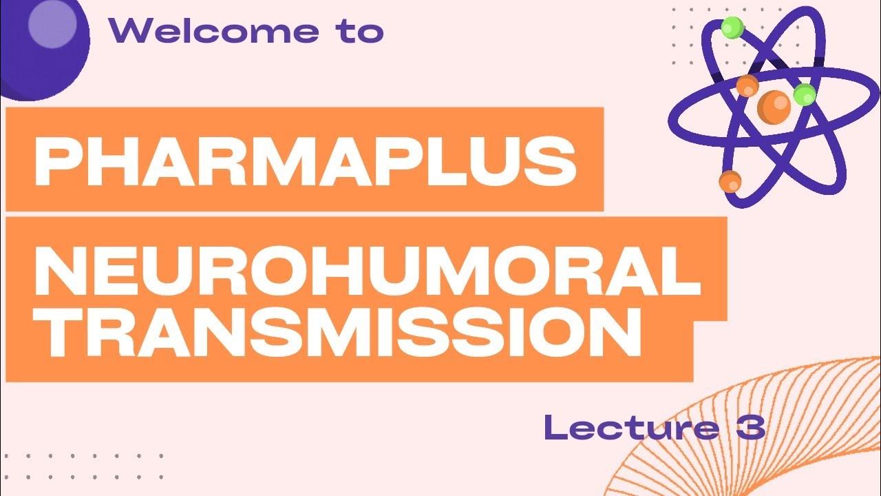 Neurohumoral Transmission( Peripheral nervous system Lecture 3) YouTube
