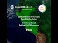 Russell Bedford Perú 2022