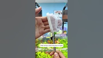 Vợt lưới 3D dễ dàng sử dụng và đa năng - chăm cá cực nhàn #aquatic #shorts