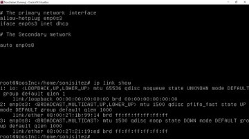 Command to Display Existing Network Adapter Debian