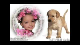 IMIKIMI Animated Dog and Puppy Photo Frames by: Photo Fun Art