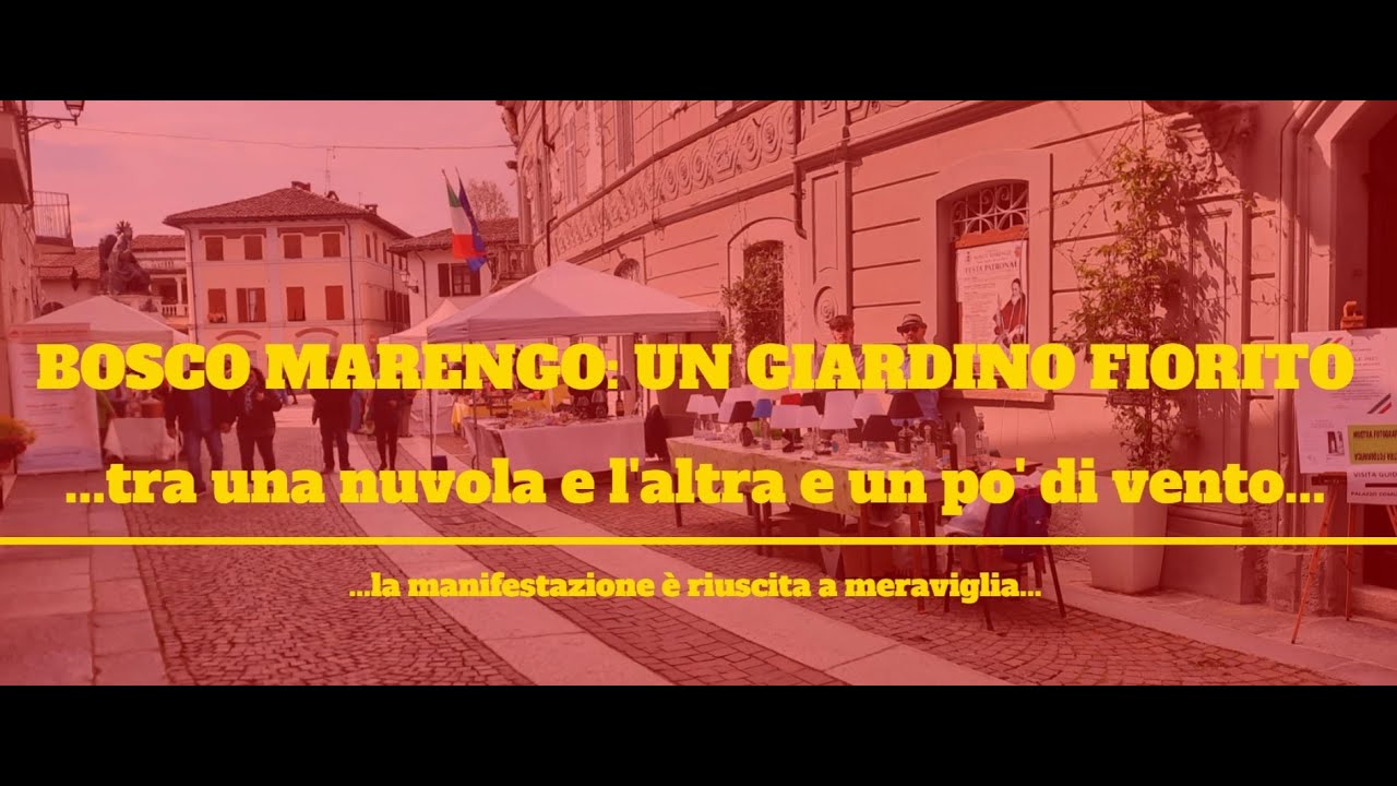Bosco Marengo si è trasformato in un giardino fiorito   2025