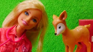 para justificar especificación elección Barbie en español. Muñeca en zoológico.Vídeos para niñas. - YouTube