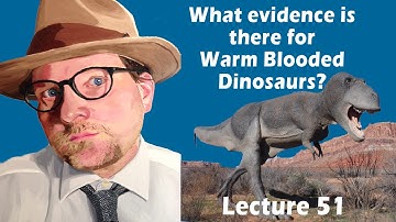 What evidence is there for Warm Blooded Dinosaurs?
