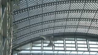 Robot Bird Flies Like Real Bird screenshot 4