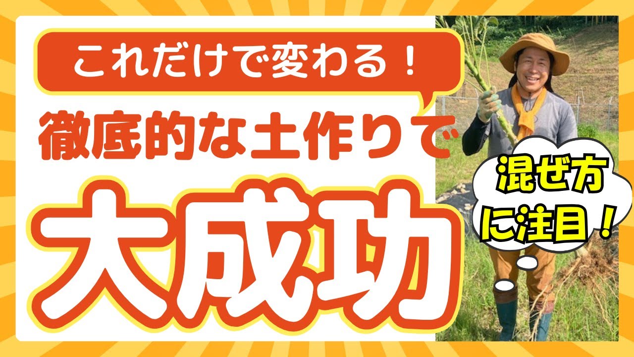 【菌ちゃん先生直伝！徹底解説】ゼロスタート最短2〜3ヶ月でできちゃう！糸状菌ファーストの土づくり実技編！【後半】#ミネラル野菜 #菌ちゃん農法