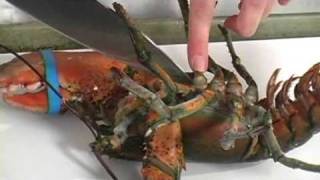 How to Kill (and Cook) a Lobster