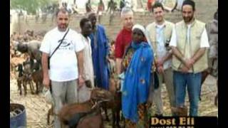 süleyman kaya, dost eli, recepaktas42@hotmail.com